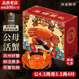 【活蟹】漁家师傅大闸蟹公4.5-4.8两母3.5-3.8两4对8只 鲜活螃蟹现货生鲜礼盒 中秋送礼