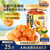 三只松鼠红杏干400g 罐装无核蜜饯果干酸甜果脯儿童办公室休闲零食小吃