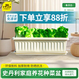 史丹利阳台种菜盆专用家用花盆长方形塑料蔬果盆栽象牙白【长400mm】