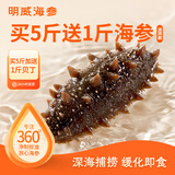 明威海参 鲜食即食海参刺参 鲜活加工独立包装单个装开袋即食冷冻海鲜礼盒 12-14头（1斤 ）