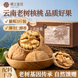 楼兰蜜语云南老树纸皮核桃1500g/箱原味 新货零食纸皮节日送礼每日坚果