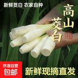 【现采现发】浙江新鲜茭白时令蔬菜带壳茭白高笋应季美食自种包邮 现采带壳茭白2.6-3斤 净重