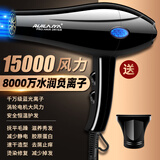 RUI LAI YA发廊专用电吹风机家用理发店9800W大功率负离子速干护发静音风筒 纯铜机芯送一 标准版 十年换新