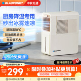 蓝宝（BLAUPUNKT）厨房冰雾扇冷风空调扇制冷小型壁挂电风扇加湿水冷风扇冷风机防油烟节能低噪加湿器 【经典爆款-X5】快速降温/台式免安装