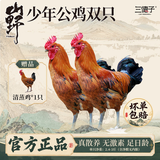 三德子好甄选散养少年雪山草鸡土鸡农家散养走地鸡新鲜宰杀冷冻公鸡肉源头直发