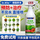 Dr.Riley德国原液花卉杀虫剂植物蚜虫呋虫胺喷雾土壤绿植月季花草红黑蜘蛛