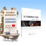 量子线路映射与优化