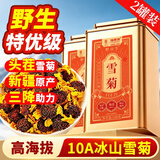 福东海10A野生昆仑雪菊100克*2罐 正宗【新疆特级】特产天山雪冰菊花茶