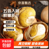 即食13天活珠子五香味香辣钢化蛋鸡胚蛋喜蛋批发原味麻辣新鲜真空 40g*20枚装 香辣