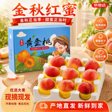 京地达山东蒙阴金秋红蜜 净重4.5斤礼盒单果180g起新鲜水果蜜桃源头直发