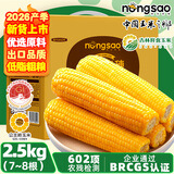 东北农嫂糯玉米穗 糯玉米段 软糯香 吉林原产 真空玉米 低脂粗粮 【26年头茬】黄糯玉米礼盒2.5kg 约8根