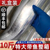 鱼小裕特大带鱼新鲜冷冻整箱10斤礼盒装正宗整条野生刀鱼鲜活海鱼生鲜 特大带鱼整箱【净重5斤】10条左右