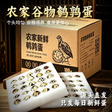 耕果妙河南濮阳新鲜鹌鹑蛋100颗生鲜鹌鹑蛋小鸟蛋净重2斤 源头直发包邮