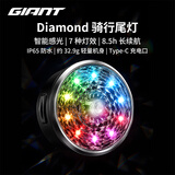 捷安特Diamond骑行尾灯 夜骑高亮警示自行车尾灯防水山地公路车安全灯