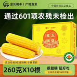 金沃瑞丰有机黄糯玉米5.2斤260g*10根真空装新鲜低脂早餐粗粮礼盒礼品送礼
