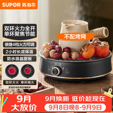 苏泊尔（SUPOR）迷你电陶炉 煮茶器煮茶炉煮茶壶 养生围炉煮茶泡茶办公家用不挑器具SW-DTL05