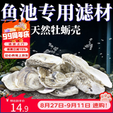 派乐特 鱼缸生蚝壳滤材鱼池过滤牡蛎天然海蛎装饰贝壳平衡ph值锦鲤着色