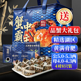 【活蟹】蟹宗鲜活大闸蟹公5.0-5.3两母4.0-4.3两4对8只生鲜螃蟹海鲜节日礼品源头直发