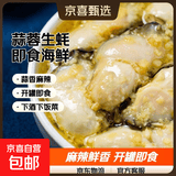 麻辣蒜蓉罐装生蚝肉即食小海鲜熟食罐装新鲜美味好吃零食 蒜蓉生蚝( 2罐)
