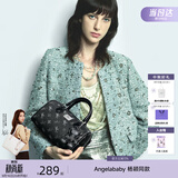 纽芝兰（NUCELLE）飞马波士顿包包2026新款轻奢小众手提斜挎女士包包生日礼物送女生