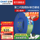 正泰（CHNT）阻燃电线BV2.5/4/6平方单股铜芯电线 电缆线国标电源线家用铜芯线 阻燃｜双色地线BV4  100米