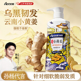澳雪（accen）云南小黄姜乌黑韧发洗发水500ml 赋活头皮强韧发丝