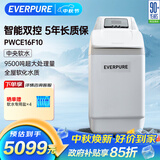 爱惠浦（Everpure）全屋中央过滤 美肤洗浴 呵护衣物 家用软化水质净水器 1.1吨/小时 9500吨制水量 软水机PWCE16F10