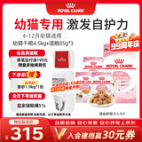 皇家猫粮 幼猫猫粮 干湿搭配 K36 4.5kg+啫喱肉冻KJP 85G*3