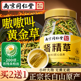 南京同仁堂金装肾精草60g黄金草嗷嗷叫正宗东北长白山化石草男士滋补养生茶