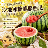 趣尝鲜沙地冰糖无籽麒麟西瓜 1枚 净重9-11斤 新鲜水果 源头直发包邮