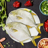 环球水产南海二去金鲳鱼2条/袋 净重共600g 肉质紧实鲜活好鱼生鲜海鲜水产