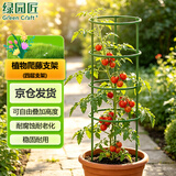 绿园匠植物爬藤支架花卉绿植攀爬固定支柱防倒伏支撑固定花盆架子四层