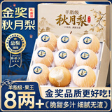 蒲恋正宗山东秋月梨【闪送-多地次日达】新鲜冰糖梨水果礼盒中秋送礼 【80%买-冰糖大果】丨单果300g+ 5斤装【超值推荐-80%选择】净4.5斤*
