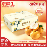 京鲜生长城羊脂秋月梨 净重3斤装 单果250g+ 应季中秋水果