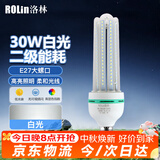 洛林（ROLin）LED灯泡节能灯泡大功率U型泡家用商用e27螺口超亮灯泡30W白光