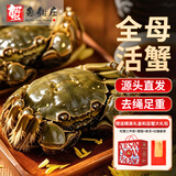 【活蟹】蟹叁钳庄 全母大闸蟹 去绳足重4.0-4.3两 10只鲜活现货螃蟹中秋国庆礼盒