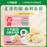 十月稻田 白糯6cm玉米段 8段 共1.6斤 东北杂粮粗粮 低脂早餐 火锅食材