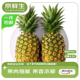 京鲜生海南金钻凤梨 净重4.5-5斤单果650g+新鲜水果生鲜源头直发