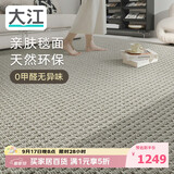 大江进口羊毛地毯客厅现代简约素色轻奢高级感沙发地毯200x300cm