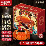 【活蟹】漁家师傅大闸蟹公3.5-3.8两母2.5-2.8两4对8只鲜活螃蟹现货生鲜礼盒中秋送礼