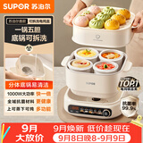 苏泊尔（SUPOR）电炖锅 煲汤锅电炖盅隔水炖辅食陶瓷燕窝家用全自动多功能锅蒸炖一体2.5L分体可拆新款DZ25YC889