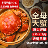 【活蟹】湖鲜阳澄 大闸蟹 去绳足重 全母蟹2.0-2.3两10只 鲜活超大螃蟹中秋国庆礼盒装