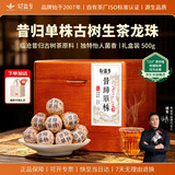 新益号茶叶普洱茶生茶 昔归单株古树茶陈年老生茶生普龙珠礼盒装500g