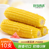 珍谷诱惑26年东北甜糯玉米棒 鲜食软糯 粘糯玉米 原产地直发 真空包装 精选黄糯玉米10支