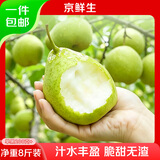 京鲜生河北鸭梨 净重8斤 单果200g+ 新鲜水晶梨 生鲜水果 源头直发