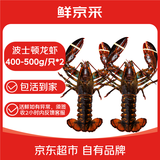 鲜京采 鲜活波士顿龙虾 净重400-500g/只*2只 保活到家 源头直发