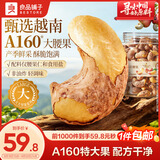 良品铺子大大紫衣腰果488g/罐大颗粒A160越南坚果干果送礼团购