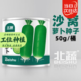 北蔬 青萝卜种子苗秋冬水果萝卜生吃脆甜蔬菜籽 沙窝萝卜种子50g桶装