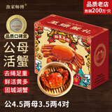 【活蟹】漁家师傅大闸蟹公4.5-4.8两母3.5-3.8两4对8只固城湖螃蟹去绳足重鲜活金秋礼盒