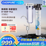 爱惠浦（Everpure） 家用矿物质厨下净水器 大流量0废水直饮 1.8L/分钟3500L处理量 EF-900P Plus
